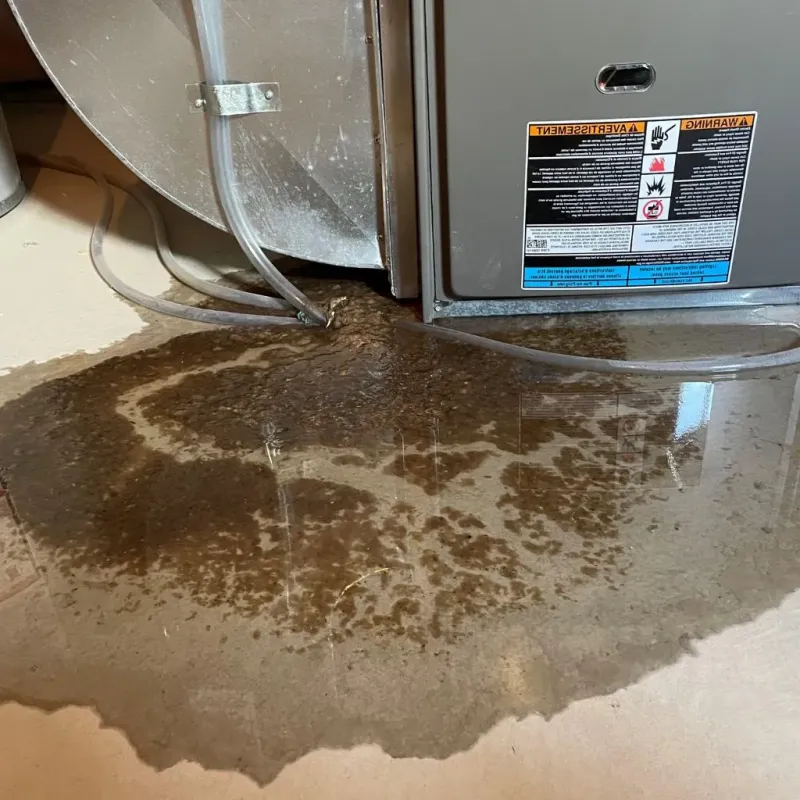 Pipe Burst and Leak Restoration in Crestwood, KY