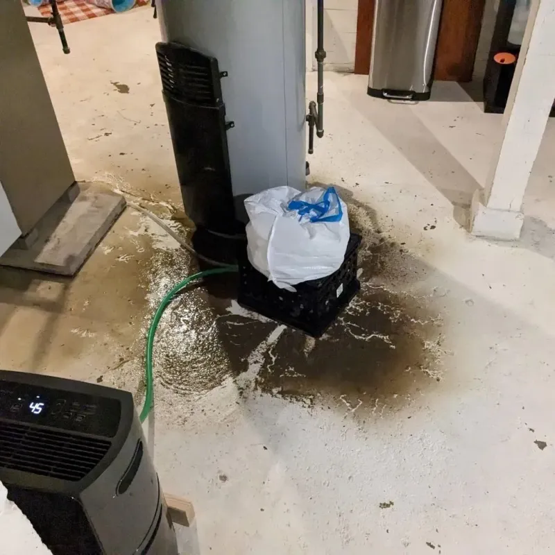 Sewage Backup Cleanup Service in Crestwood, KY